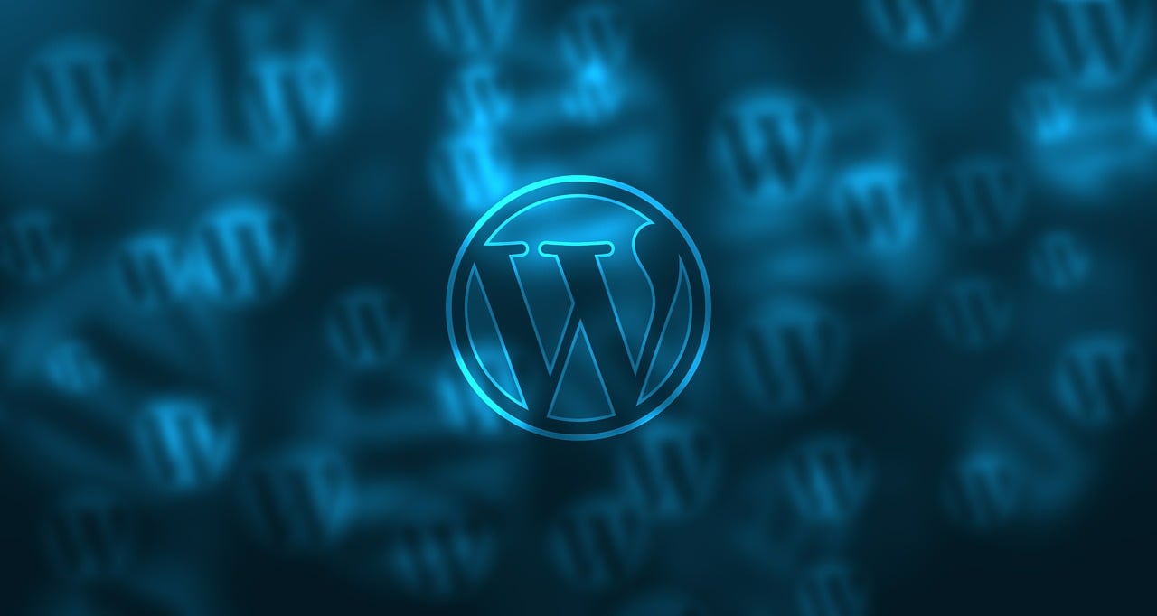 Optimizing Your WordPress Site with Themes