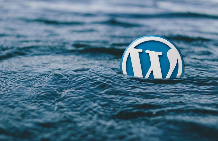 WordPress Theme Reviews and Recommendations