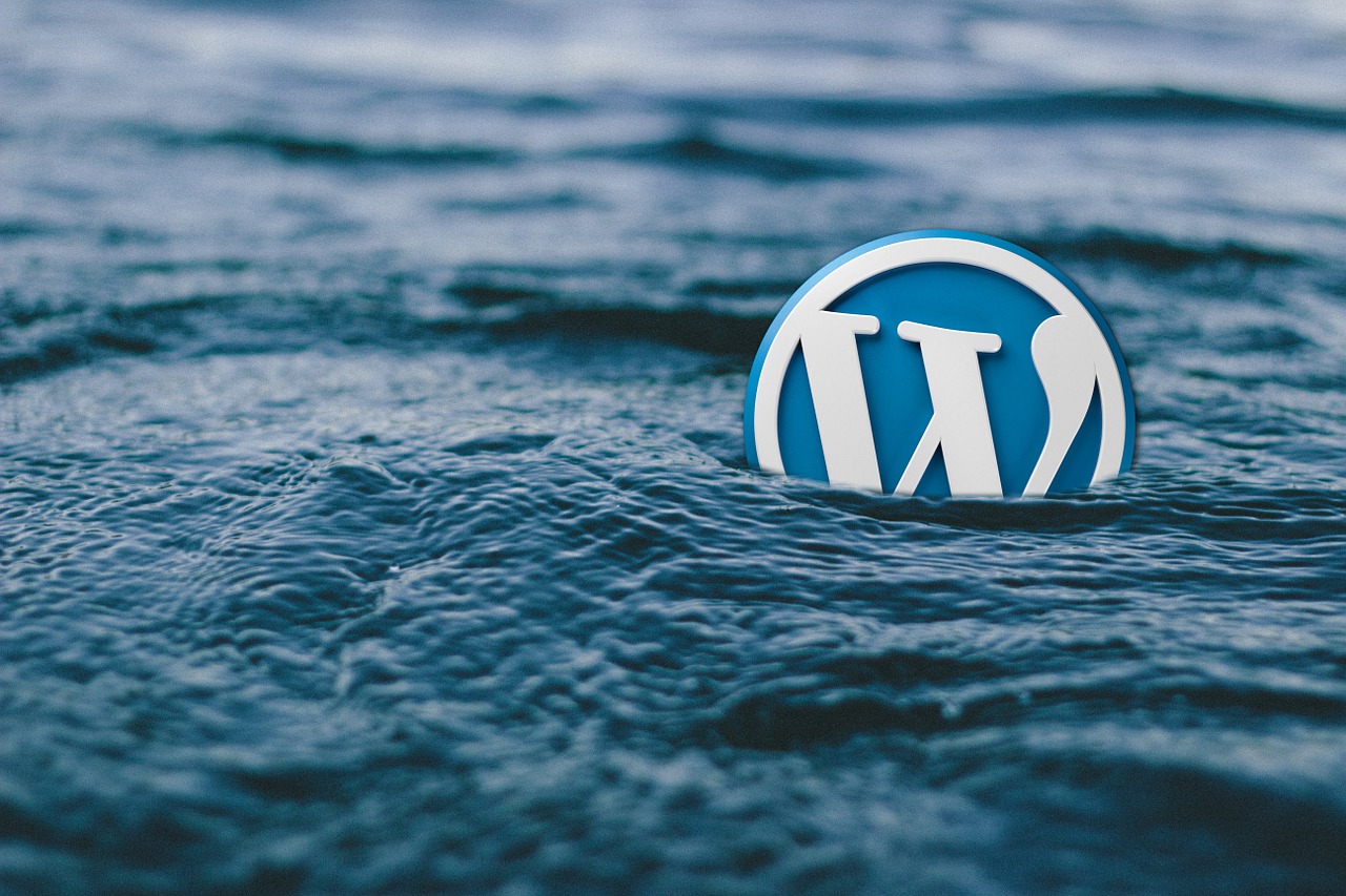 WordPress Theme Reviews and Recommendations